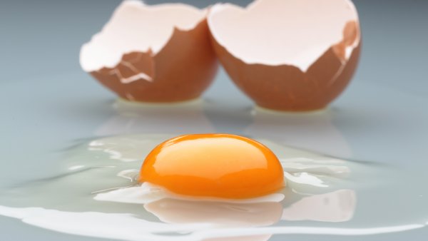 Как определить разницу между обычными и органическими яйцами?