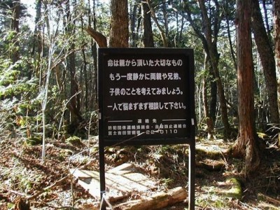 Лес самоубийц, очередная достопримечательность Японии