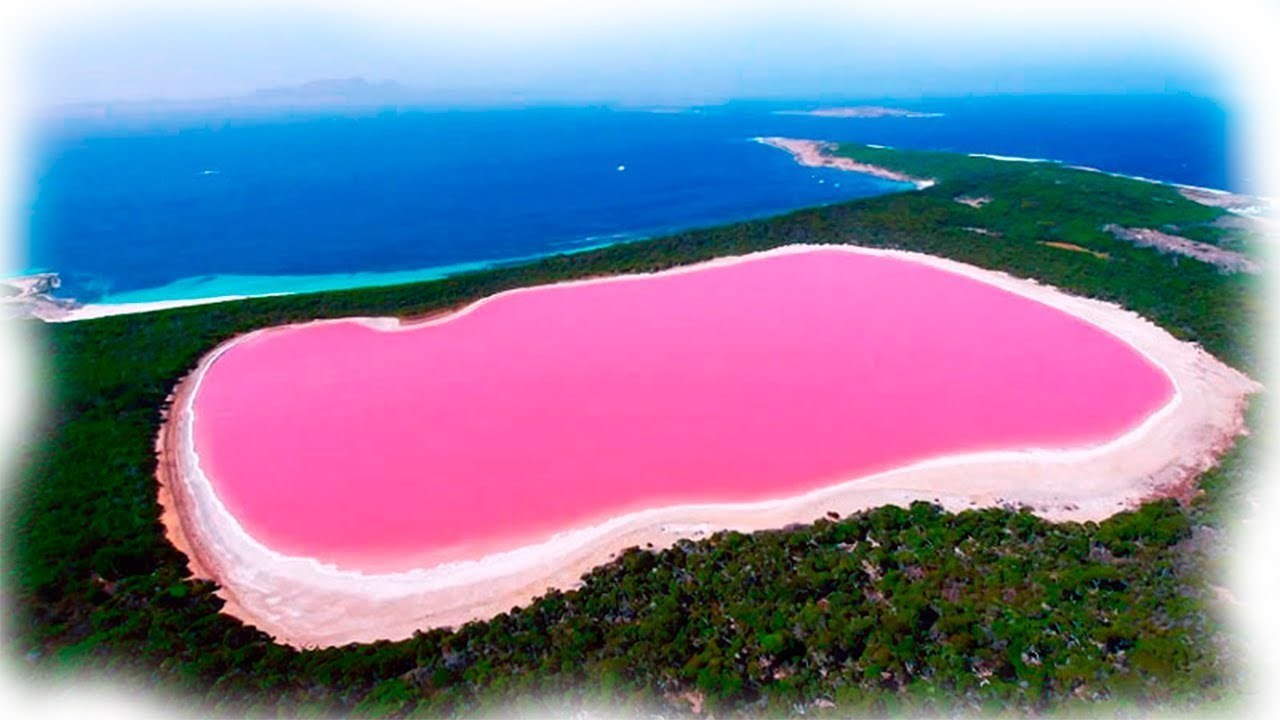 Загадка розового озера