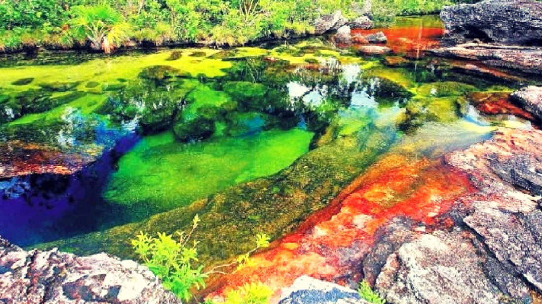Река Каньо Кристалес в Колумбии. Истинное буйство красок
